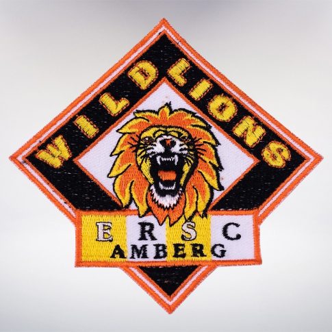 aufnaeher02 784x784 485x485 - Aufnäher